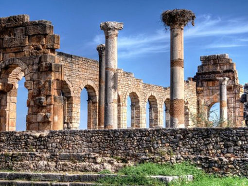 Day Trip From Fes To Volubilis & Meknes